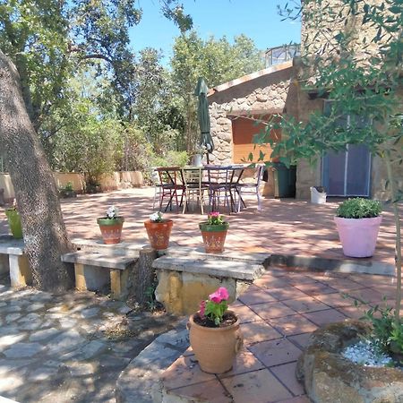 Casa Rural Vinas Perdidas Бехар Экстерьер фото
