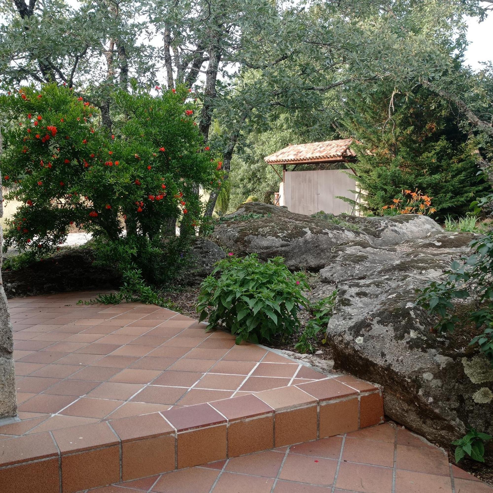Casa Rural Vinas Perdidas Бехар Экстерьер фото